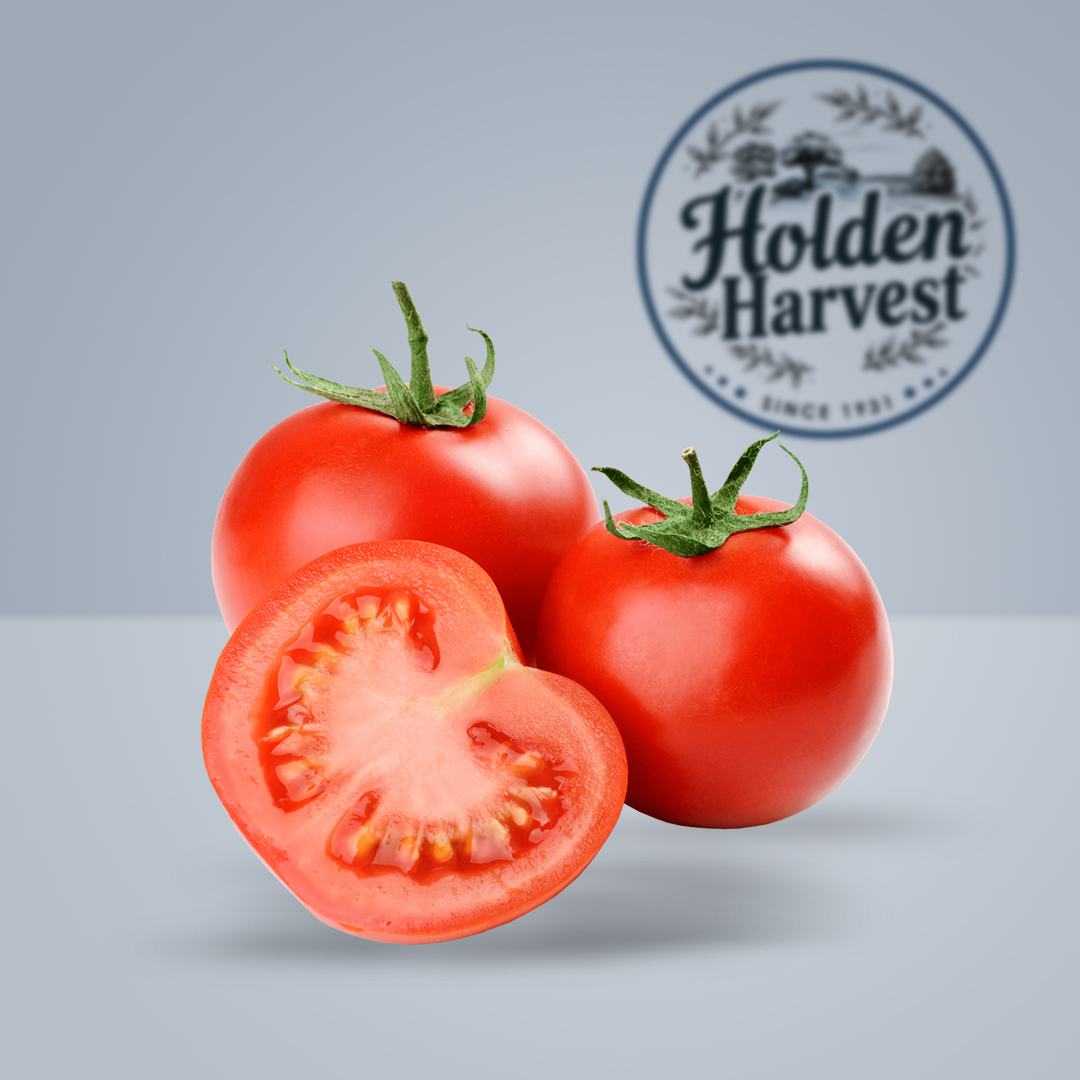 Tomatoes 